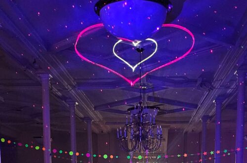 Flashback Events Dance Party Lights DJ Light Animated Laser Party Light Full-Color laser light photo review